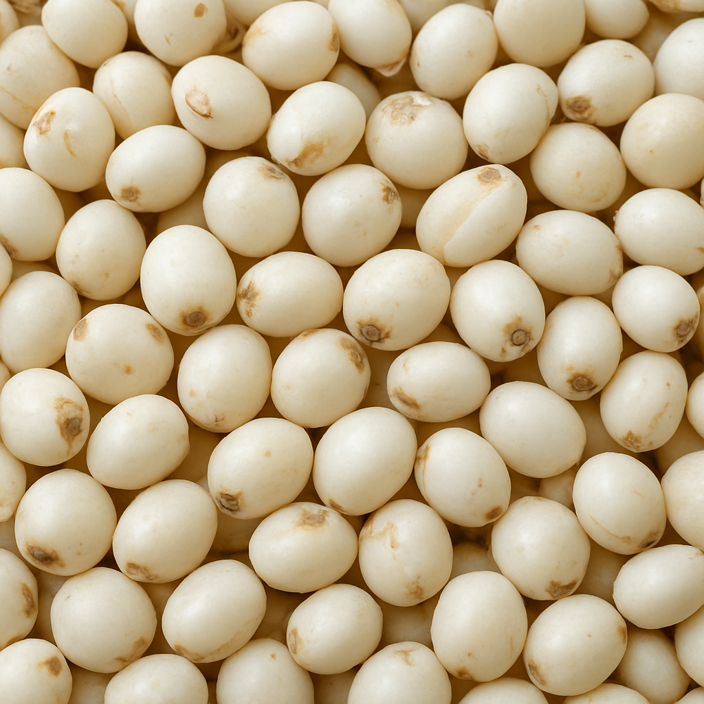 White Sorghum (UnPolished)